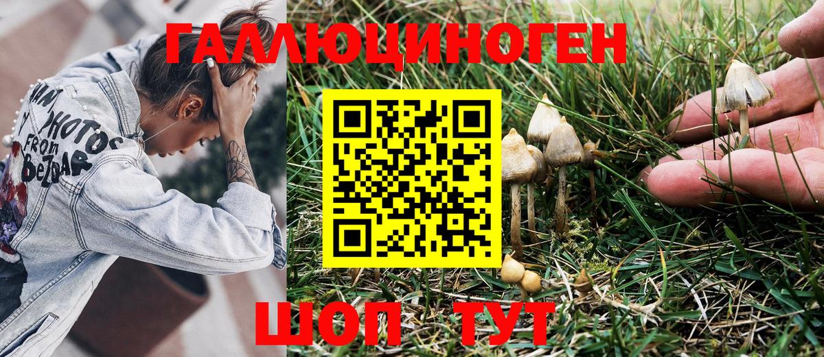 Златоуст  Псилоцибиновые грибы Psilocybe  Галлюциногенные грибы мицелий  Вход с VPN 
